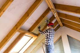 Best Commercial Insulation Services  in Ivanhoe, TX