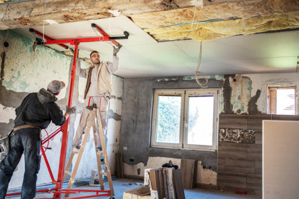 Best Eco-Friendly or Green Insulation Solutions  in Ivanhoe, TX