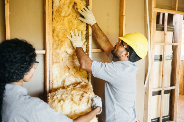 Best Insulation for Metal Buildings  in Ivanhoe, TX