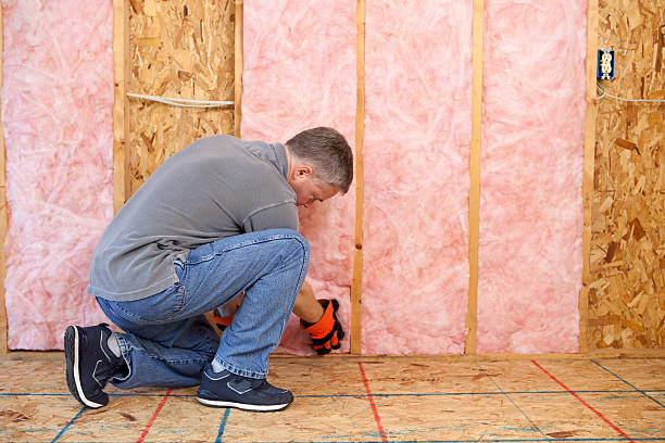 Best Soundproof Insulation  in Ivanhoe, TX