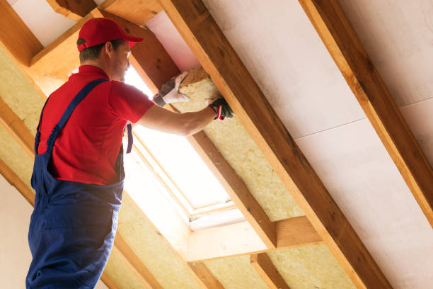 Types of Insulation We Offer in Ivanhoe, TX